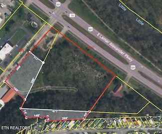 7062 E Lamar Alexander Pkwy, Townsend, TN 37882
