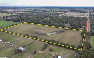 0 Hillcrest Rd Unit 341829, Lillian, AL 36549