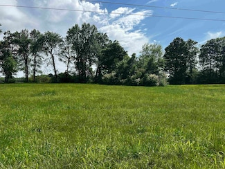 Lot 21 Catfish Ln, Crump, TN 38327