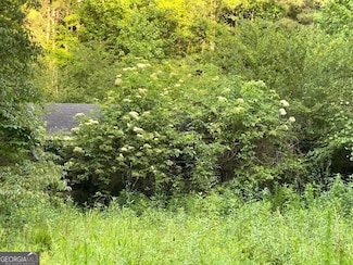 1107 Mahaley Rd, Franklin, GA 30217