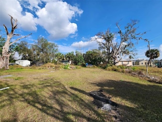 317 S Alabama Ave, Arcadia, FL 34266