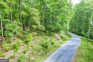 1609 Carmen Way NE, Ranger, GA 30734