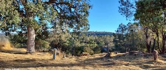 1220 Corral Dr, Yosemite Lakes, CA 93614