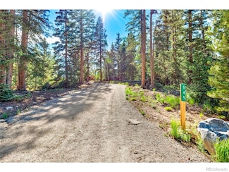 545 Adventure Rd Unit 11, Alma, CO 80420