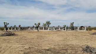 0 Pearblossom Hwy Unit 25003889, Llano, CA 93591