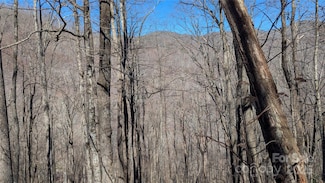00 Shady Rest Dr Unit 37, Waynesville, NC 28785