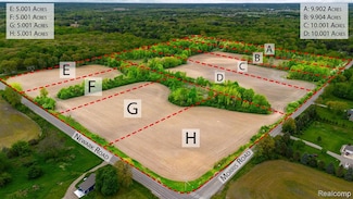 Lot H Newark Rd, Lapeer Township, MI 48446