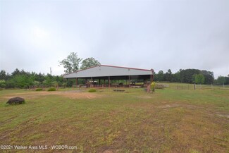 1105 Cooner Rd, Jasper, AL 35504