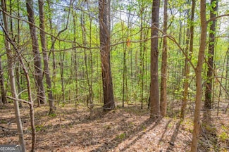 0 Lake Esther Dr Unit 10555631, Fairburn, GA 30213