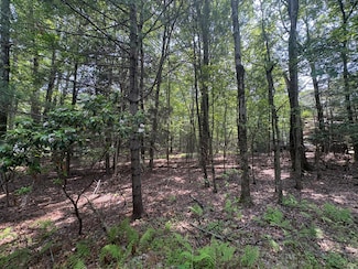 Lot 1009 Ash Ln, Polk Township, PA 18058