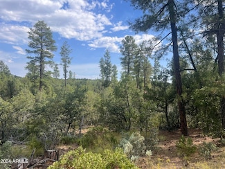 0000 N Mistletoe Lot Q -- Unit Q, Pine, AZ 85544