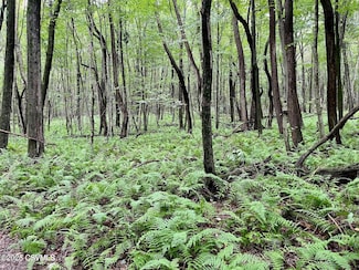 0 Mine Gap Rd Unit 20-101946, Catawissa, PA 17820