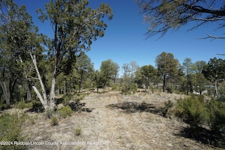100 Crown Dr, Ruidoso, NM 88345