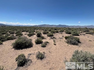 365 Ludwig Ln, Smith, NV 89430