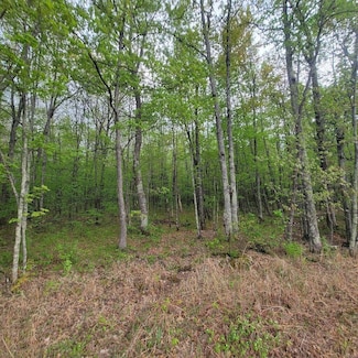 Lot 11 County Road A, Spooner, WI 54801