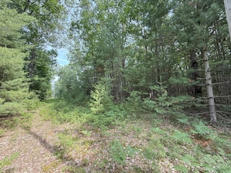 0 Critter Trail Unit Parcel B 25034330, Filer Charter Township, MI 49660