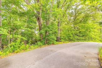 99999 Pheasant Ridge Rd Unit 14, Fairview, NC 28730