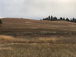 TBD Big Bear Ridge Rd, Deary, ID 83823