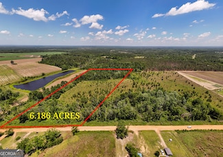 LOT #1 - 6.2 AC Perry Horton Rd, Adrian, GA 31002