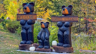 F33 Nordic Village Ln Unit F33, Bartlett, NH 03812