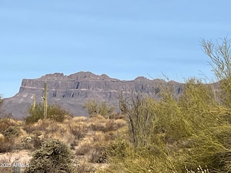 10849 E Palm Way Unit 33, Gold Canyon, AZ 85118