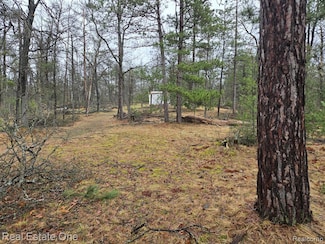 3774 S Stephan Bridge Rd, Grayling, MI 49738