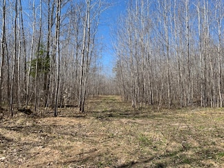 000 County Road 459, McMillan, MI 49853