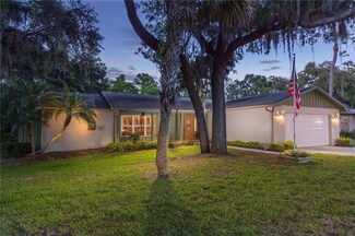 2841 Longleaf Ln, Palm Harbor, FL 34684