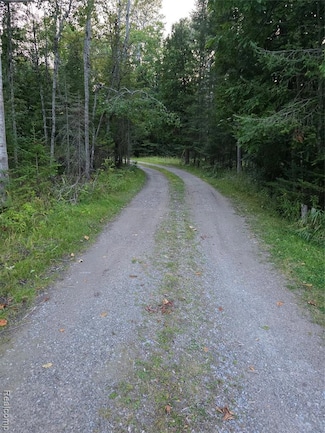 5136 Hardwood Trail, Hubbard Lake, MI 49747