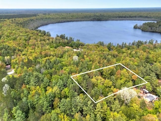 11042 W Lilly Lake Rd, Manistique, MI 49854