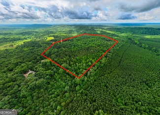 0 S Porter Rd Unit 10545447, Shiloh, GA 31826