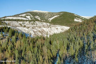 NKA Trapper Creek Spur, Sandpoint, ID 83864
