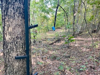 000 Watson Rd Unit LotWP001, Clinton, AR 72031