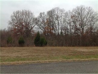 0 Good Springs Loop Unit 3286620, Unincorporated, TN 38076