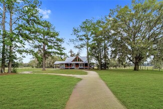 8521 NE 150th Ave, Williston, FL 32696
