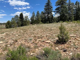 2150 Ridge View Rd, Duck Creek Village, UT 84762