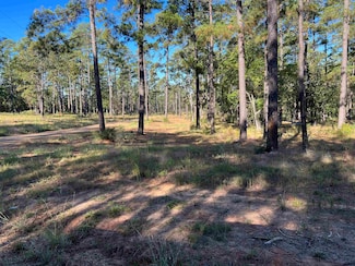 064 Pr 6026, Brookeland, TX 75931