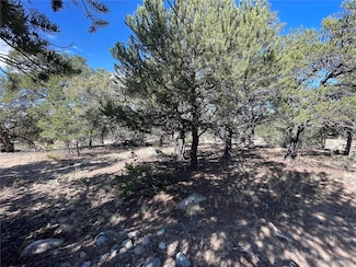 3545 Fallen Tree Place, Crestone, CO 81131