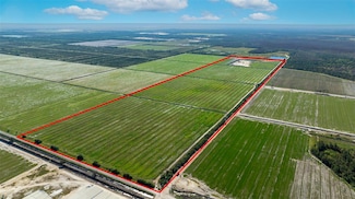 43521 Neal Rd, Punta Gorda, FL 33982