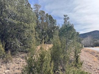 103 Agua Fria Dr, Ruidoso Downs, NM 88346
