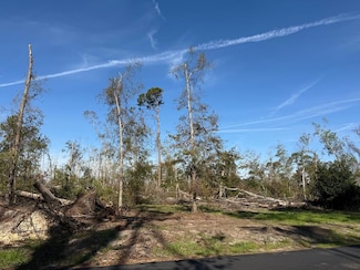000 Old Graham Rd, Hazlehurst, GA 31539