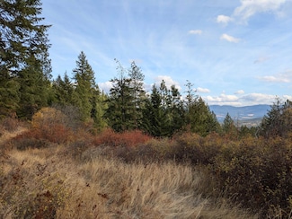 1080 XX Middle Basin Rd, Colville, WA 99114