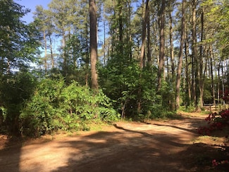Lot 19 Folly Creek Club Ln Unit 19, Accomac, VA 23301