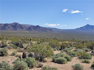 Lot 3076 Gold Basin Dr, Meadview, AZ 86444