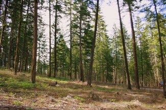 42 Liberty Ln, Winthrop, WA 98862