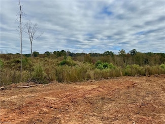 Lot 12 Skeens Mill Rd, Trinity, NC 27370