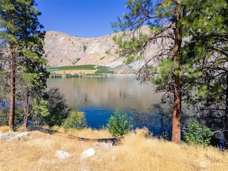 80 Tunnel View Dr, Orondo, WA 98843