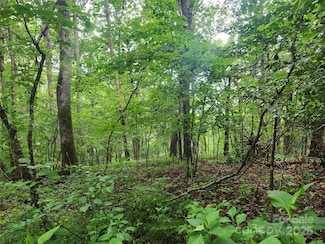 TBD Henry Worley Ln, Marshall, NC 37813