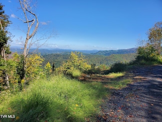 00 Cloudland Dr, Roan Mountain, TN 37687