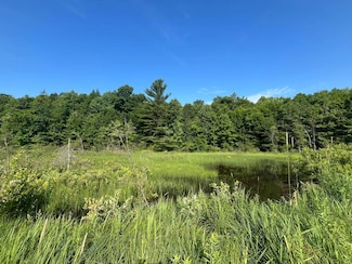 00 Stone Rd, Harrisville, NY 13648